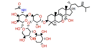 Eryloside O